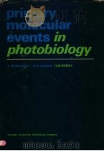 PRIMARY MOLECULAR EVENTS IN PHOTOBIOLOGY     PDF电子版封面  0444411496  A.CHECCUCCI AND R.A.WEALE 