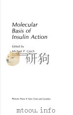 MOLECULAR BASIS OF INSULIN ACTION     PDF电子版封面  0306418436  MICHAEL P.CZECH 