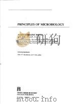 PRINCIPLES OF MICROBIOLOGY  TENTH EDITION     PDF电子版封面  0801646855  ALICE LORRAINE SMITH 
