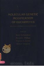 MOLECULAR GENETIC MODIFICATION OF EUCARYOTES     PDF电子版封面  0126011508  IRWIN RUBENSTEIN  RONALD L.PHI 