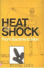 HEAT SHOCK FROM BACTERIA TO MAN     PDF电子版封面  0879691581   