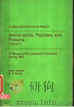 AMINO-ACIDS，PEPTIDES，AND PROTEINS  VOLUME 3     PDF电子版封面    G.T.YOUNG 