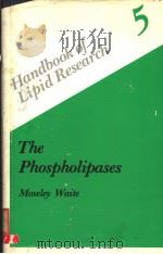 THE PHOSPHOLIPASES     PDF电子版封面  0306426218  MOSELEY WAITE 