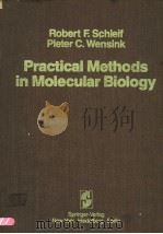 PRACTICAL METHODS IN MOLECULAR BIOLOGY（ PDF版）
