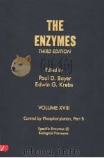 THE ENZYMES VOLUME XVIII CONTROL BY PHOSPHORYLATION PART B SPECIFIC ENZYMES (Ⅱ) BIOLOGICAL PROCESSES（ PDF版）