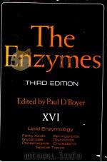 THE ENZYMES VOLUME XVI LIPID ENZYMOLOGY FATTY ACIDS GLYCERIDES PHOSPHOLIPIDS SPHINGOLIPIDS GLYCOLIPI     PDF电子版封面  0121227162  PAUL D.BOYER 