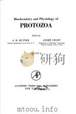 PROTOZOA  VOLUME Ⅱ（ PDF版）