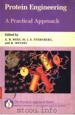 PROTEIN ENGINEERING A PRACTICAL APPROACH   1992  PDF电子版封面  0199631387  ANTHONY R.REES  MICHAEL J.E.ST 