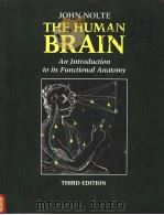 THE HUMAN BRAIN AN INTRODUCTION TO ITS FUNCTIONAL ANATOMY（ PDF版）