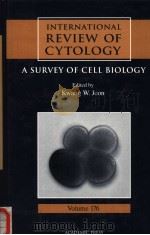 INTERNATIONAL REVIEW OF CYTOLOGY A SURVEY OF CELL BIOLOGY VOLUME 176   1997  PDF电子版封面  0123645808  KWANG W.JEON 