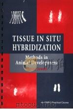 TISSUE IN SITU HYBRIDIZATION METHODS IN ANIMAL DEVELOPMENT（1997年 PDF版）