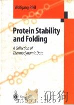 PROTEIN STABILITY AND FOLDING A COLLECTION OF THERMODYNAMIC DATA     PDF电子版封面  3540637176  W.PFEIL 