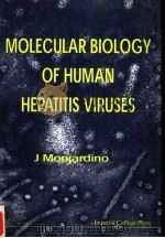 MOLECULAR BIOLOGY OF HUMAN HEPATITIS VIRUSES（1998 PDF版）