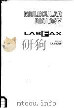MOLECULAR BIOLOGY LABFAX   1991  PDF电子版封面  1872748007  T.A.BROWN 