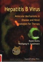 HEPATITIS B VIRUS  MOLECULAR MECHANISMS IN DISEASE AND NOVEL STRATEGIES FOR THERAPY     PDF电子版封面  1860940072  RAJEN KOSHY  WOLFGANG H.CASELM 