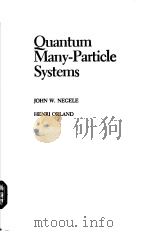 QUANTUM MANY-PARTICLE SYSTEMS     PDF电子版封面  0201125935  JOHN W.NEGELE  HENRI ORLAND 