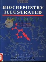 图解生物化学  第3版   1993  PDF电子版封面  7030077261  PETE N.CAMPBELL AND ANTHONY D. 