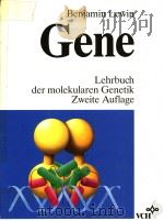GENE  LEHRBUCH DER MOLEKULAREN GENETIK ZWEITE AUFLAGE   1991  PDF电子版封面  3527280529  BENJAMIN LEWIN 