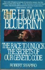 THE HUMAN BLUEPRINT  THE RACE TO UNLOCK THE SECRETS OF OUR GENETIC CODE   1991  PDF电子版封面  055337057X  ROBERT SHAPIRO 