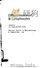 CURRENT TOPICS IN MICROBIOLOGY AND IMMUNOLOGY 135  DIFFERENTATION OF B LYMPHOCYTES     PDF电子版封面  3540174702  C.J.PAIGE AND R.H.GISLER 