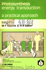 PHOTOSYNTHESIS ENERGY TRANSDUCTION A PRACTICAL APPROACH     PDF电子版封面    EDITED BY M·F·HIPKINS 