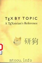 TEX BY TOPIC A TEXNICIAN‘S REFERENCE     PDF电子版封面    VICTOR EIJKHOUT 