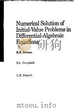 NUMERICAL SOLUTION OF INITIAL-VALUE PROBLEMS IN DIFFERENTIAL-ALGEBRAIC EQUATIONS     PDF电子版封面  0444015116   