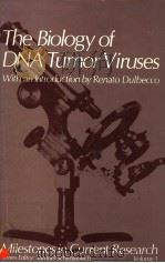 THE BIOLOGY OF DNA TUMOR VIRUSES WITH AN INTRODUCTION BY RENATO DULBECCO   1976  PDF电子版封面  0306322013  SAMUEL SCHIMINOVICH 