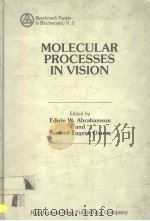 BENCHMARK PAPERS IN BIOCHEMISTRY V.3  MOLECULAR PROCESSES IN VISION     PDF电子版封面  0879333823  EDWIN W.ABRAHAMSON AND SANFORD 