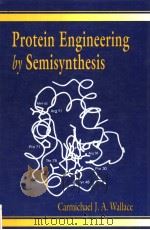 PROTEIN ENGINEERING BY SEMISYNTHESIS     PDF电子版封面  0849347270  CARMICHAEL J.A.WALLACE 