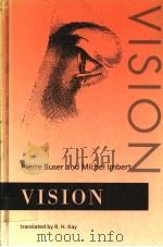 VISION（ PDF版）