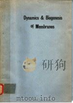 DYNAMICS AND BIOGENESIS OF MEMBRANES     PDF电子版封面  0387504184  J.A.F.OP DEN KAMP 