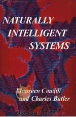 NATURALLY INTELLIGENT SYSTEMS（ PDF版）