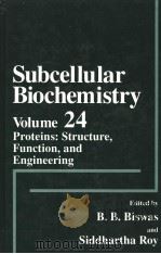 SUBCELLULAR BIOCHEMISTRY VOLUME24     PDF电子版封面  0306448467  B·B·BISWAS AND SIDDHARTHA ROY 
