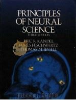 PRINCIPLES OF NEURAL SCIENCE THIRD EDITION     PDF电子版封面  0444015620  ERIC R.KANDEL  JAMES H.SCHWART 
