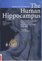 THE HUMAN HIPPOCAMPUS     PDF电子版封面  3540632050   