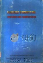 FLUIDISED COMBUSTION:SYSTEMS AND APPLICATIONS  VOLUME Ⅲ（1980 PDF版）