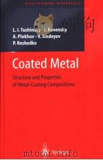COATED METAL STRUCTURE AND PROPERTIES OF METAL-COATING COMPOSITIONS     PDF电子版封面  3540431268  L.I.TUSHINSKY·I.KOVENSKY  A.PL 