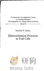 ELECTROCHEMICAL PROCESSES IN FUEL CELLS     PDF电子版封面    MANFRED W.BREITER 
