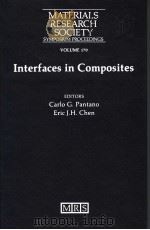 INTERFACES IN COMPOSITES     PDF电子版封面  1558990585  CARLO G.PANTANO  ERIC J.H.CHEN 