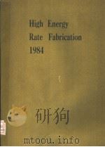 HIGH ENERGY RATE FABRICATION 1984     PDF电子版封面     