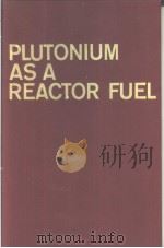 PLUTONIUM ASA REACTOR FUEL     PDF电子版封面     