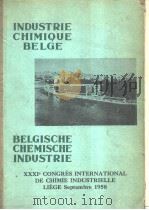 31E CONGRES INTERNATIONAL DE CHIMIE INDUSTRIELLE VOLUME 1     PDF电子版封面     