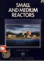 SMALL AND MEDIUM REACTORS 1 STATUS AND PROSPECTS   1991  PDF电子版封面  926413560X   