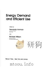 ENERGY DEMAND AND EFFICIENT USE   1981  PDF电子版封面  0306407329  FERNANDO AMMAN AND RICHARD WIL 