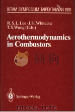 AEROTHERMODYNAMICS IN COMBUSTORS     PDF电子版封面  0387554011  R.S.L.LEE  J.H.WHITELAW  T.S.W 