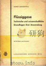 FLUSSIGGASE（ PDF版）