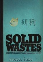 SOLID WASTES:ENGINEERING PRINCIPLES AND MANAGEMENT ISSUES     PDF电子版封面  0070632359  GEORGE TCHOBANOGLOUS  HILARY T 