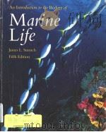 AN INTRODUCTION TO THE BIOLOGY OF MARINE LIFE  FIFTH EDITION   1992  PDF电子版封面  0697051439  JAMES L.SUMICH 