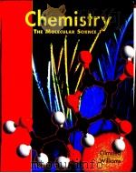 CHEMISTRY THE MOLECULAR SCIENCE     PDF电子版封面  0801674859   